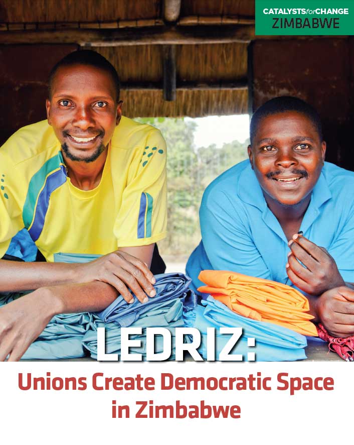Unions Create Democratic Space in Zimbabwe (2013)