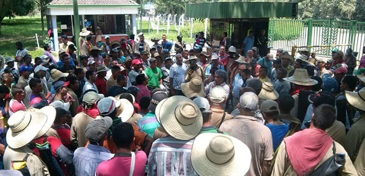 Sugarcane workers gathering in Colombia