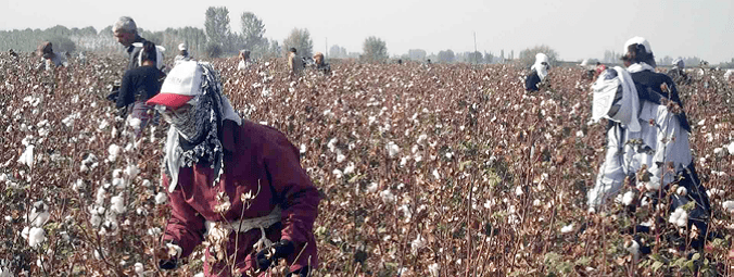 Uzbekistan, forced labor, cotton, violence