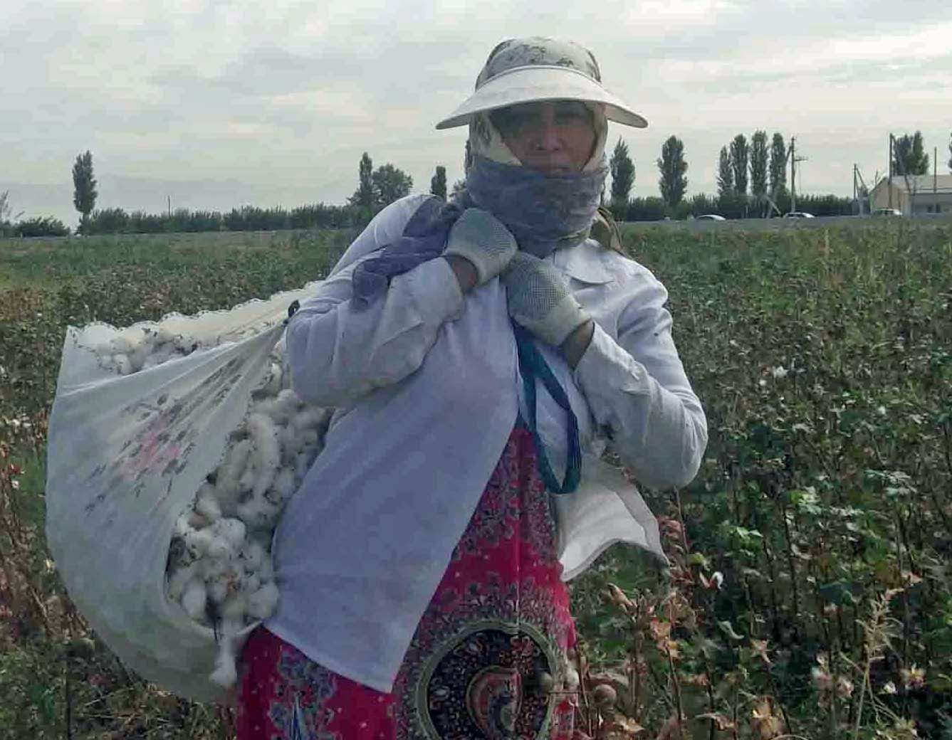 Tashkent, Uzbekistan, cotton picking, forced labor, unions, Solidarity Center