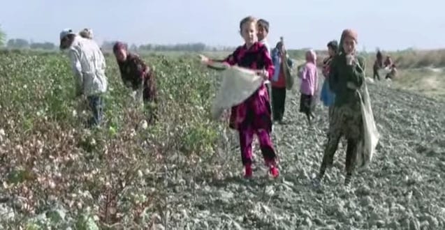 Uzbekistan, cotton harvest, forced labor, Solidarity Center