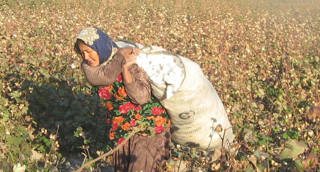 Uzbekistan, cotton harvest, forced labor, Solidarity Center