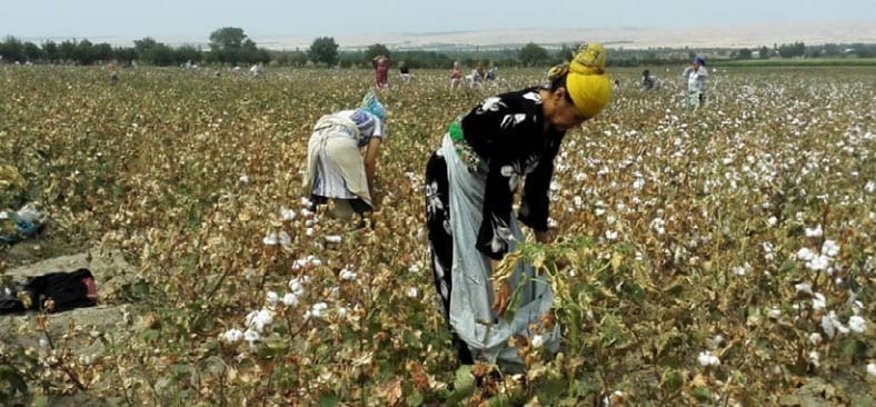 Uzbekistan, cotton, human rights, forced labor, Solidarity Center