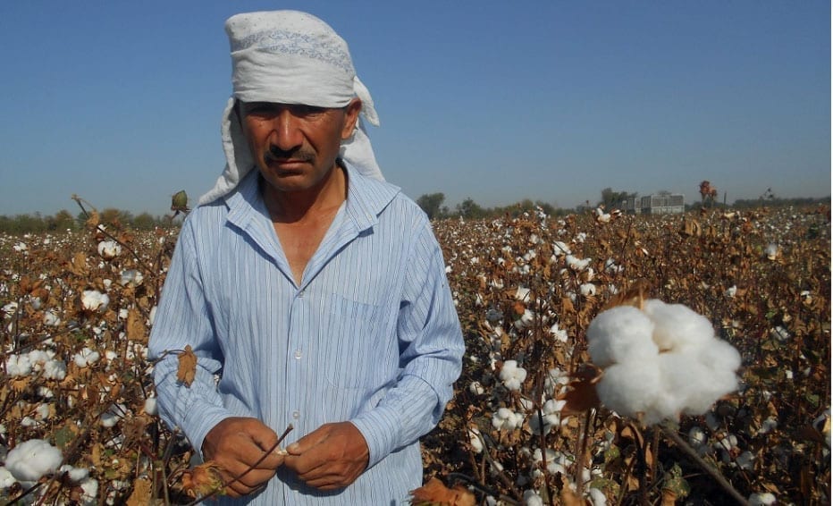 Uzbekistan, cotton harvest, forced labor, Solidarity Center, human rights