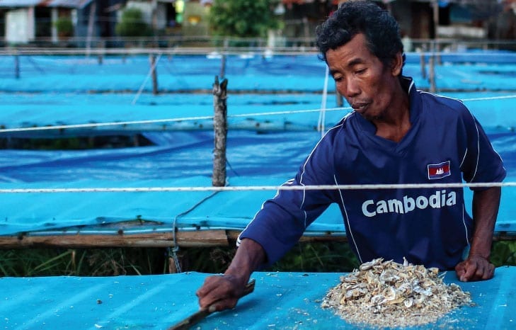 Thai fish processing, Cambodia, forced labor, human rights, Solidarity Center