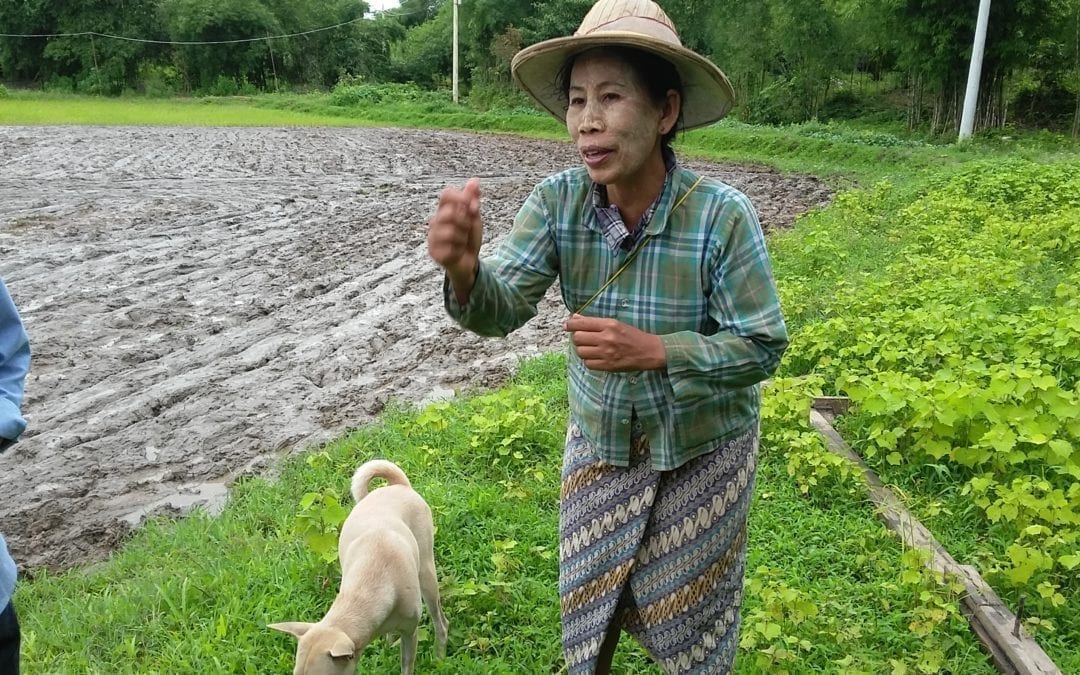 Burmese Rice Farmer: With a Union, We Improve Our Livelihood
