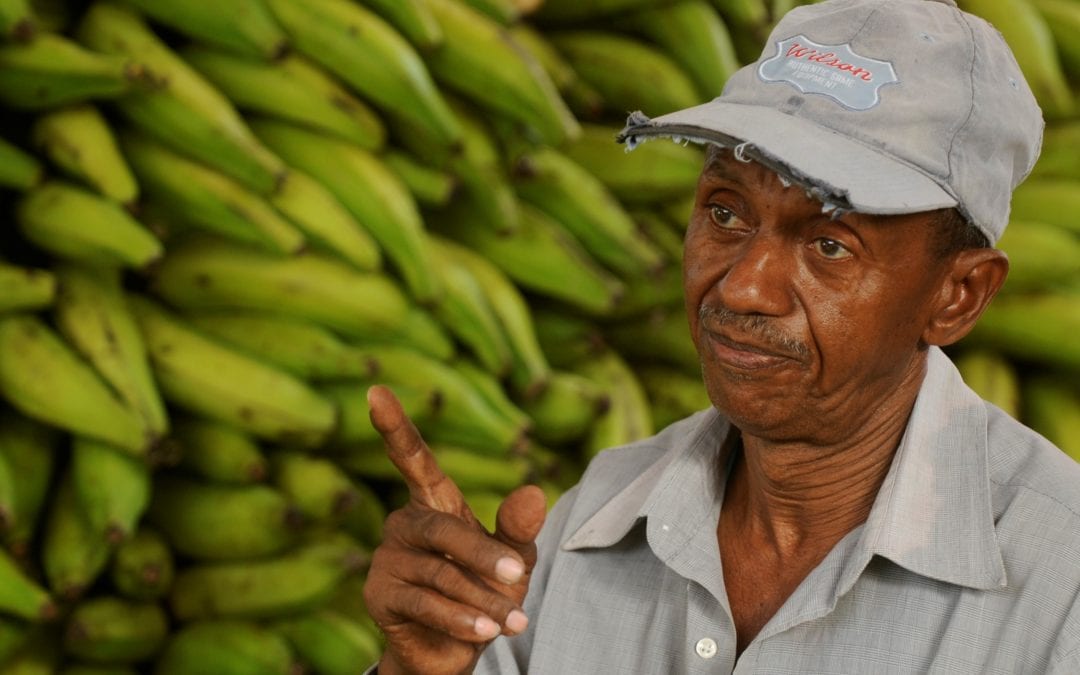 Juan Familia sells his plantains in the Municipal Market of San Cristobal, July 28, 2014. SOLIDARITY CENTER /Ricardo Rojas.(DOMINICAN REPUBLIC - Tags: BUSINESS EMPLOYMENT SOCIETY MARKET )