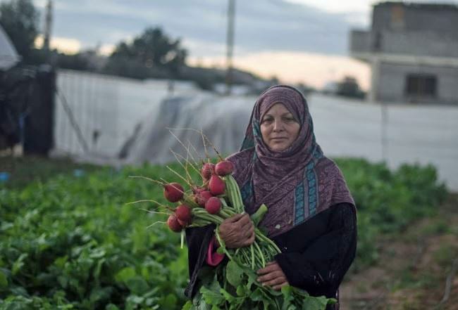 Palestine, worker rights, agricultural workers, Solidarity Center