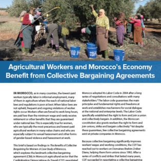 Agricultural Workers and Morocco’s Economy Benefit from Collective Bargaining Agreements
