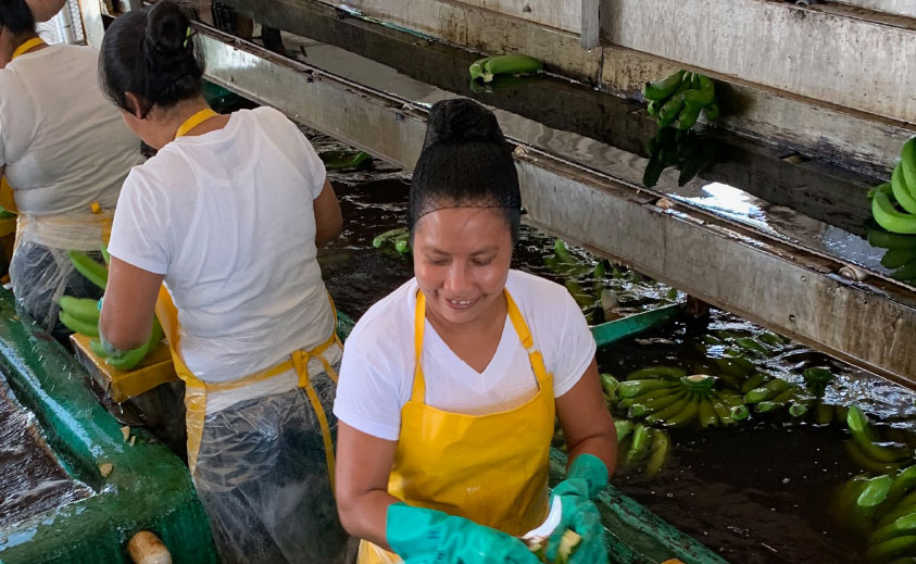 Guatemala, banana plantations, worker rights, gender-based violence at work, Solidarity Center