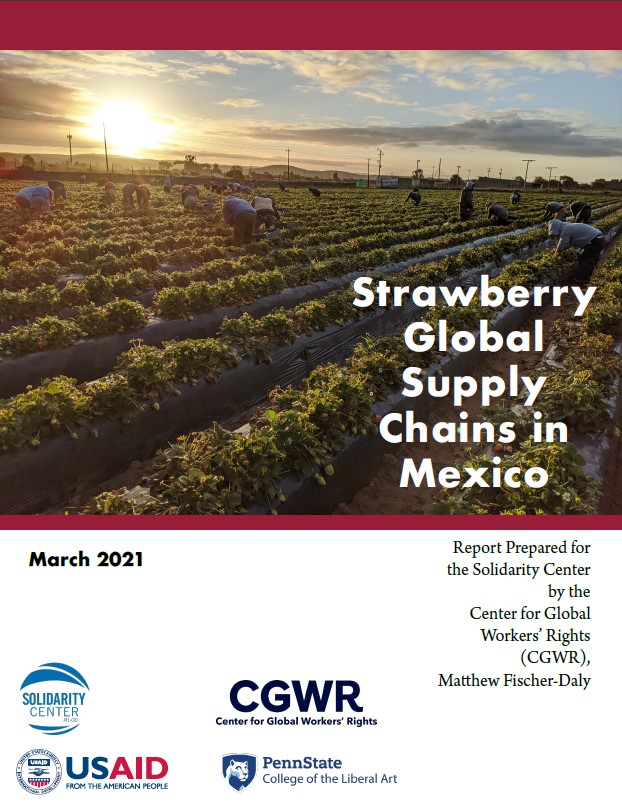 Cover of report titled Strawberry Global Supply Chains in Mexico