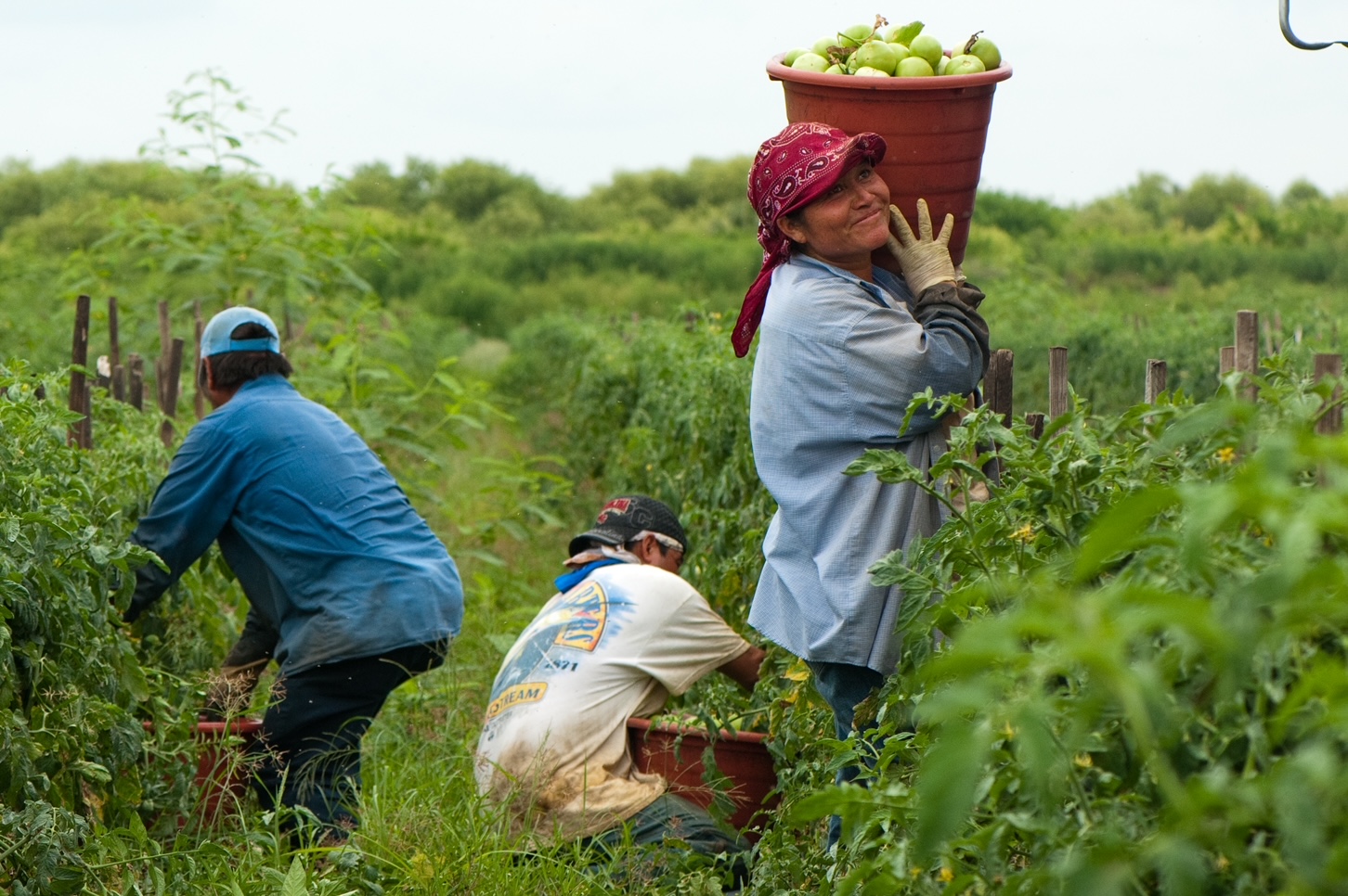 Experts Share Strategies for Stopping Wage Theft of Migrant Workers